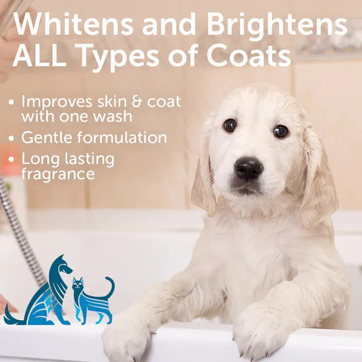 Nootie Whitening Jojoba Oil, Sweet Pea & Vanilla 16-oz, Pet Shampoo