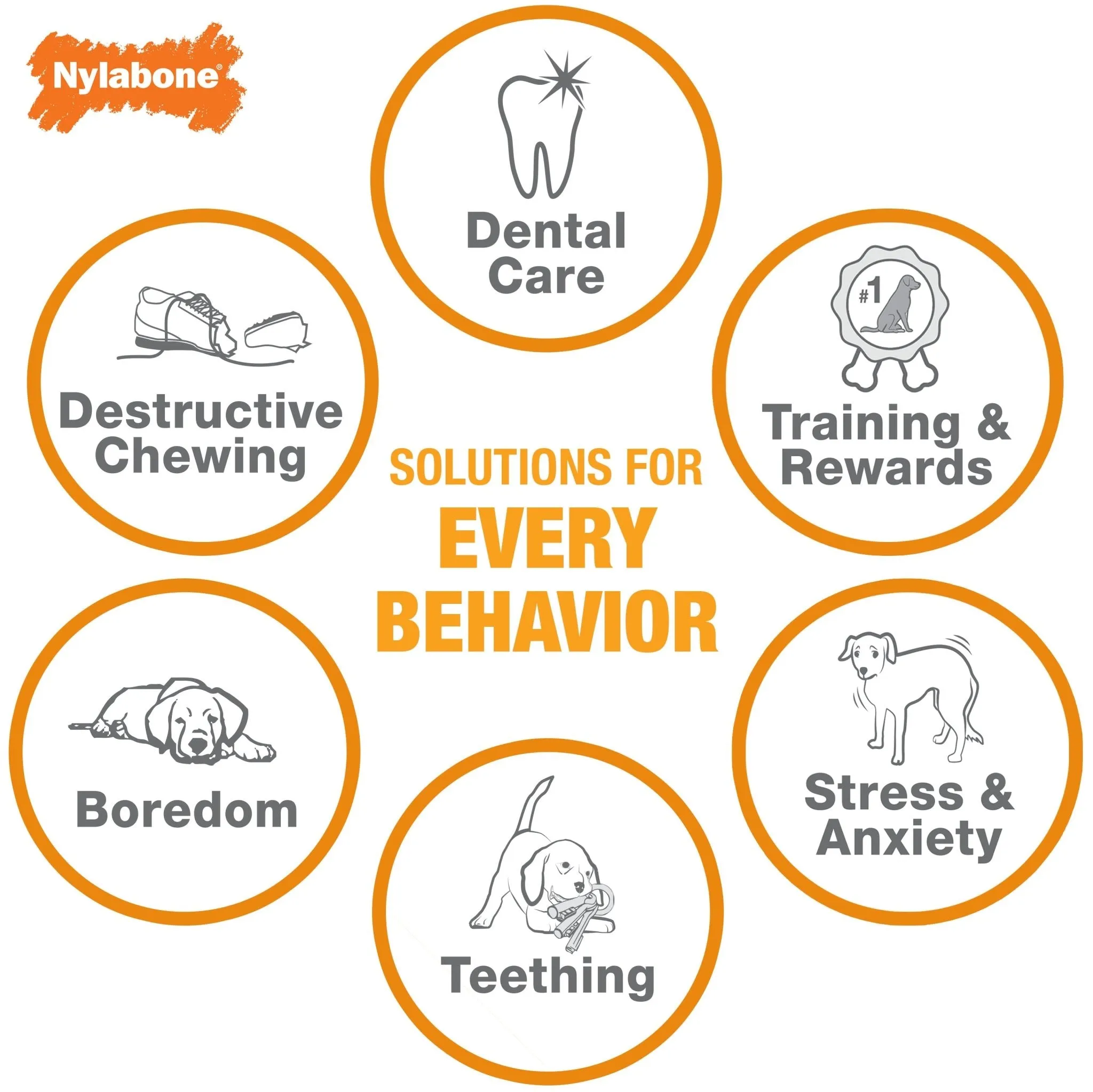 Nylabone Dental Chew Bone
