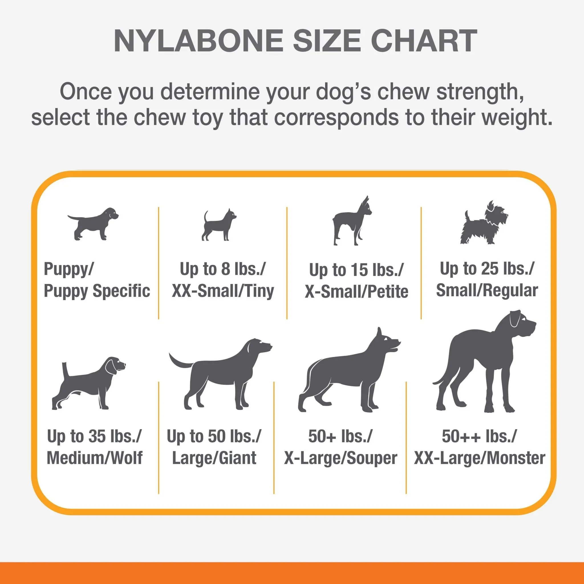 Nylabone Dental Chew Bone