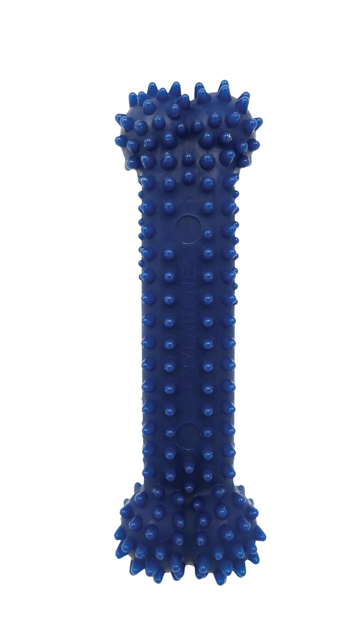 Nylabone Dental Chew Bone