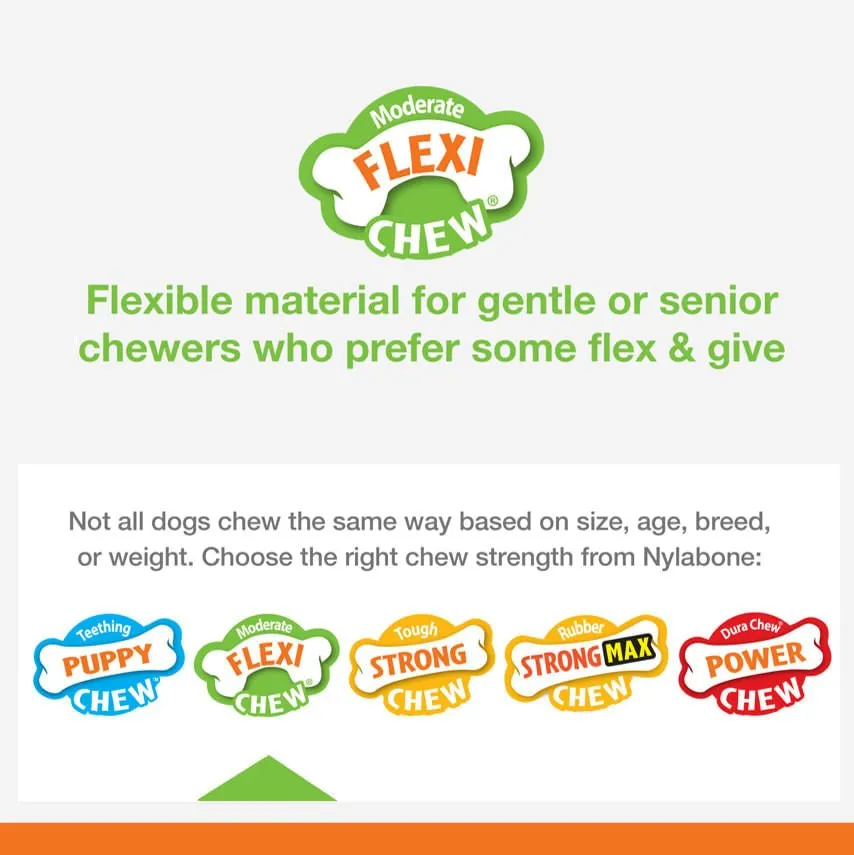 Nylabone Dental Chew Bone