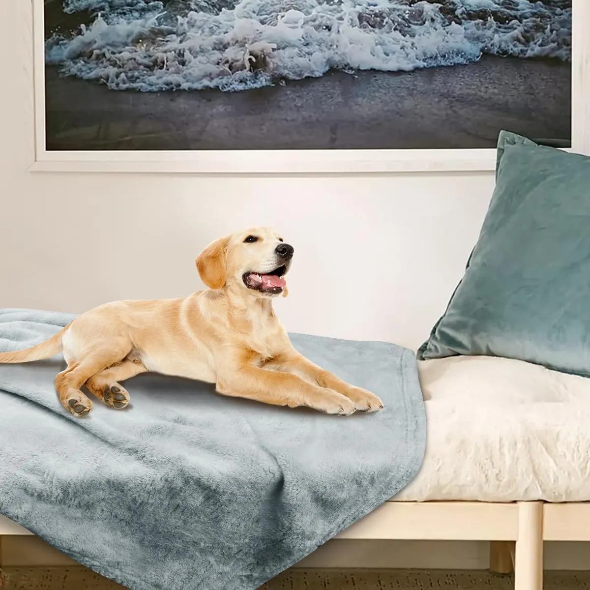 Onarway Dog Blanket Washable for Puppy: 4 Packs Dog Blankets 40x28 - Fluffy Soft Small Throw for Cat Puppy Kitten Dogs - Fleece Pet Blankets for Bed Sofa Car and Indoor - Light Grey