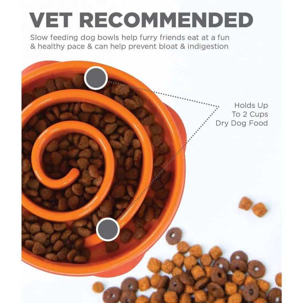 Outward Hound Fun/Slow Feeder for Dogs (Orange)