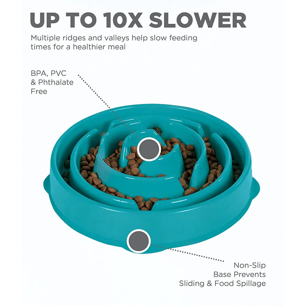 Outward Hound Fun/Slow Feeder for Dogs (Teal)