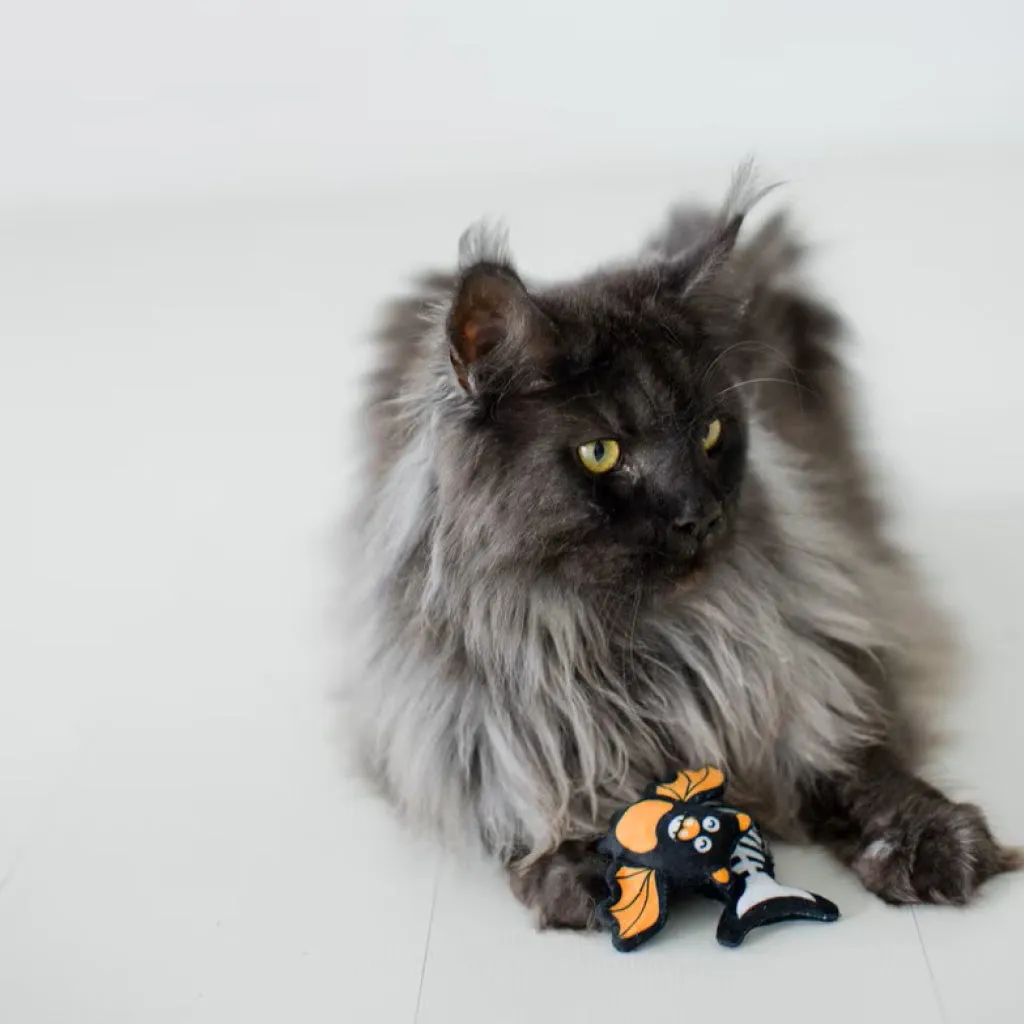 Pearhead Pawloween Toy Set For Cats