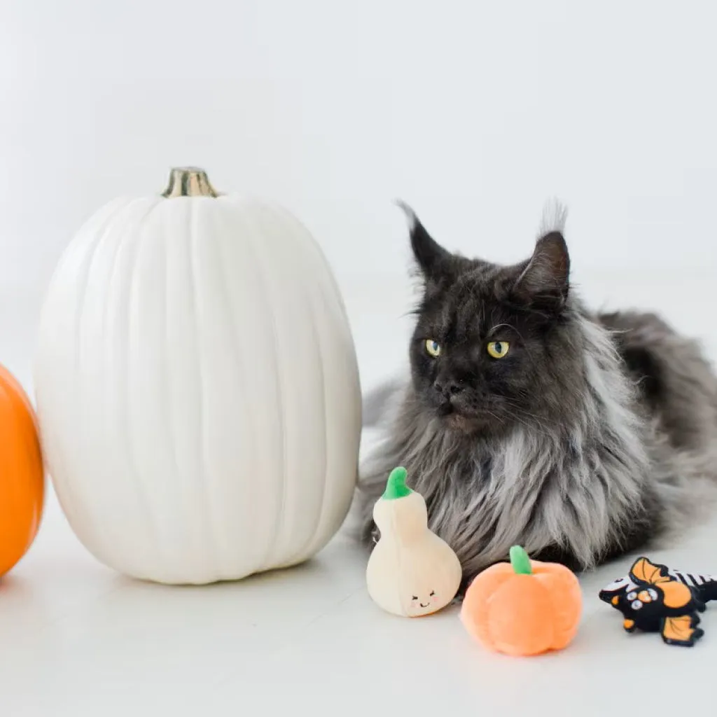Pearhead Pawloween Toy Set For Cats