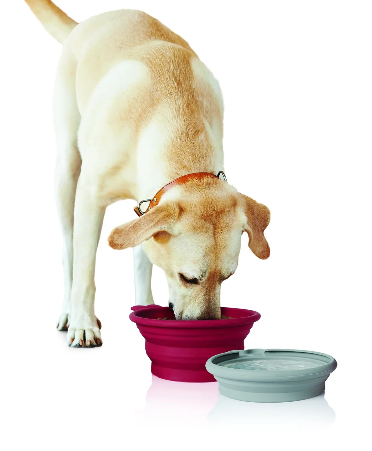 Pet Parade - Pop-up Food & Water Bowl