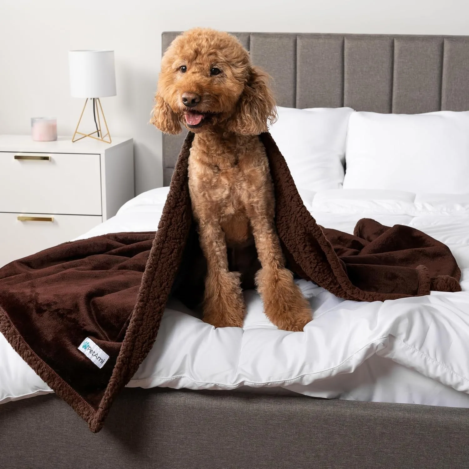 PetAmi Waterproof Dog Blanket for Small Medium Dog Puppy Cat Throw for Couch Cover Leakproof Protection, Sherpa Fleece, Reversible Soft Washable 29x40 Brown Brown