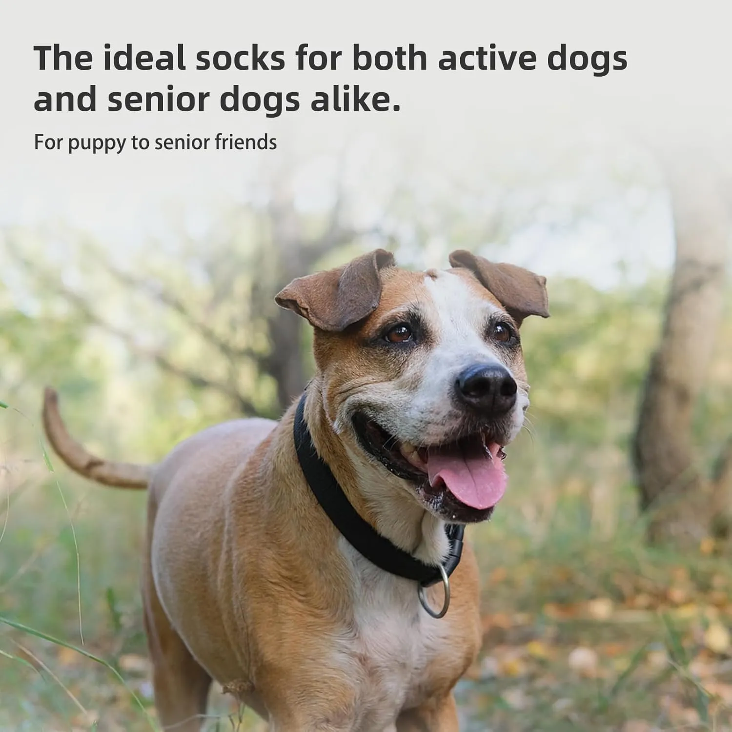 PUPTECK Anti-Slip Dog Socks with Double Sides Grips for Small Medium Large Dogs Hardwood Floors Prevents Licking, Dog Shoes for Hot Pavement Traction Control Paw Protector for Senior Dogs, Grey L