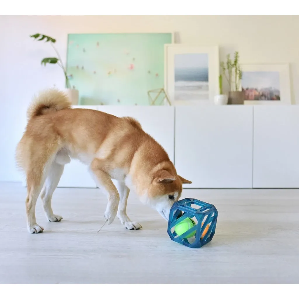Puzzle Cube Dog Toy