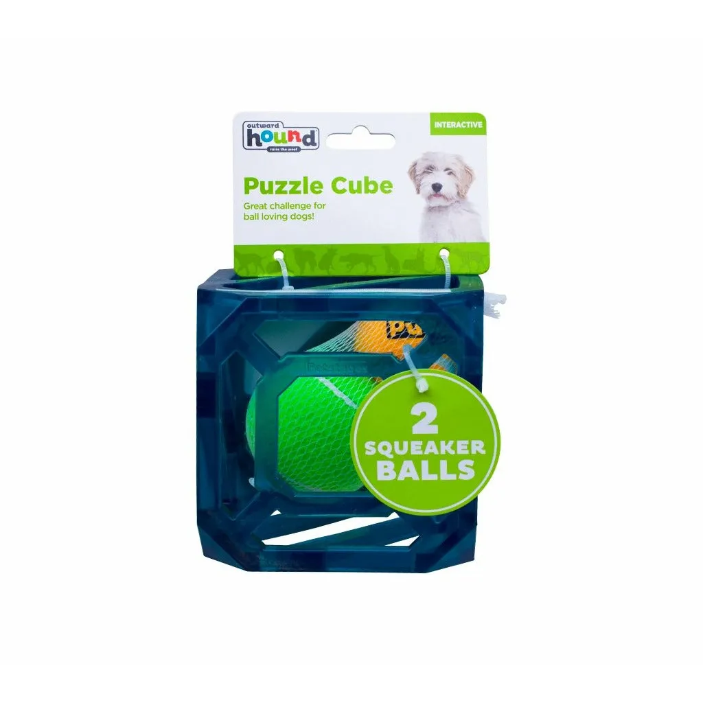 Puzzle Cube Dog Toy