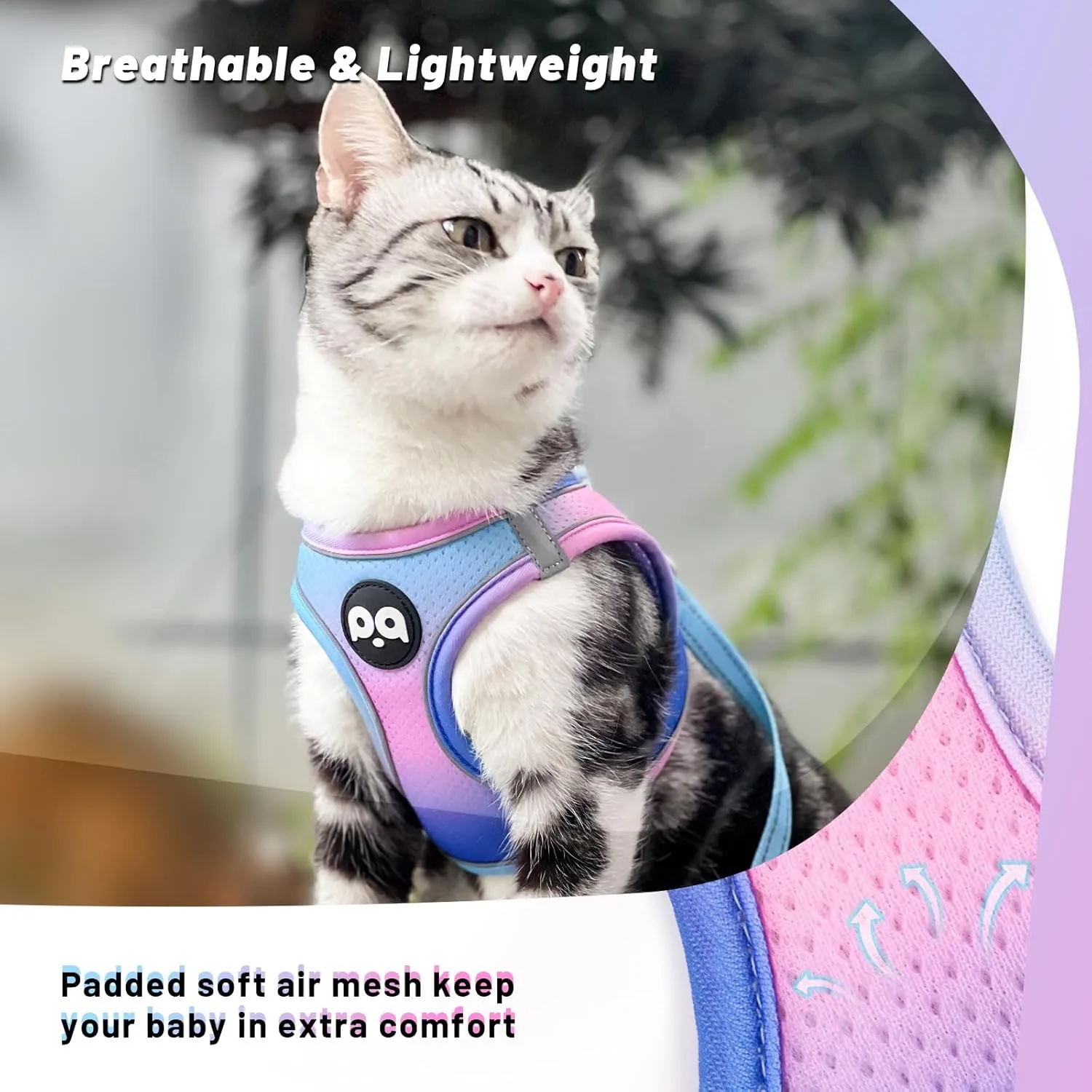 QQPETS Cat Harness and Leash Set for Walking Escape Proof, Safe Adjustable Kitten Vest with Reflective Strips, Easy Control Soft Mesh Lightweight Jacket (Blue-Pink Gradient, M(15.7-17.7))