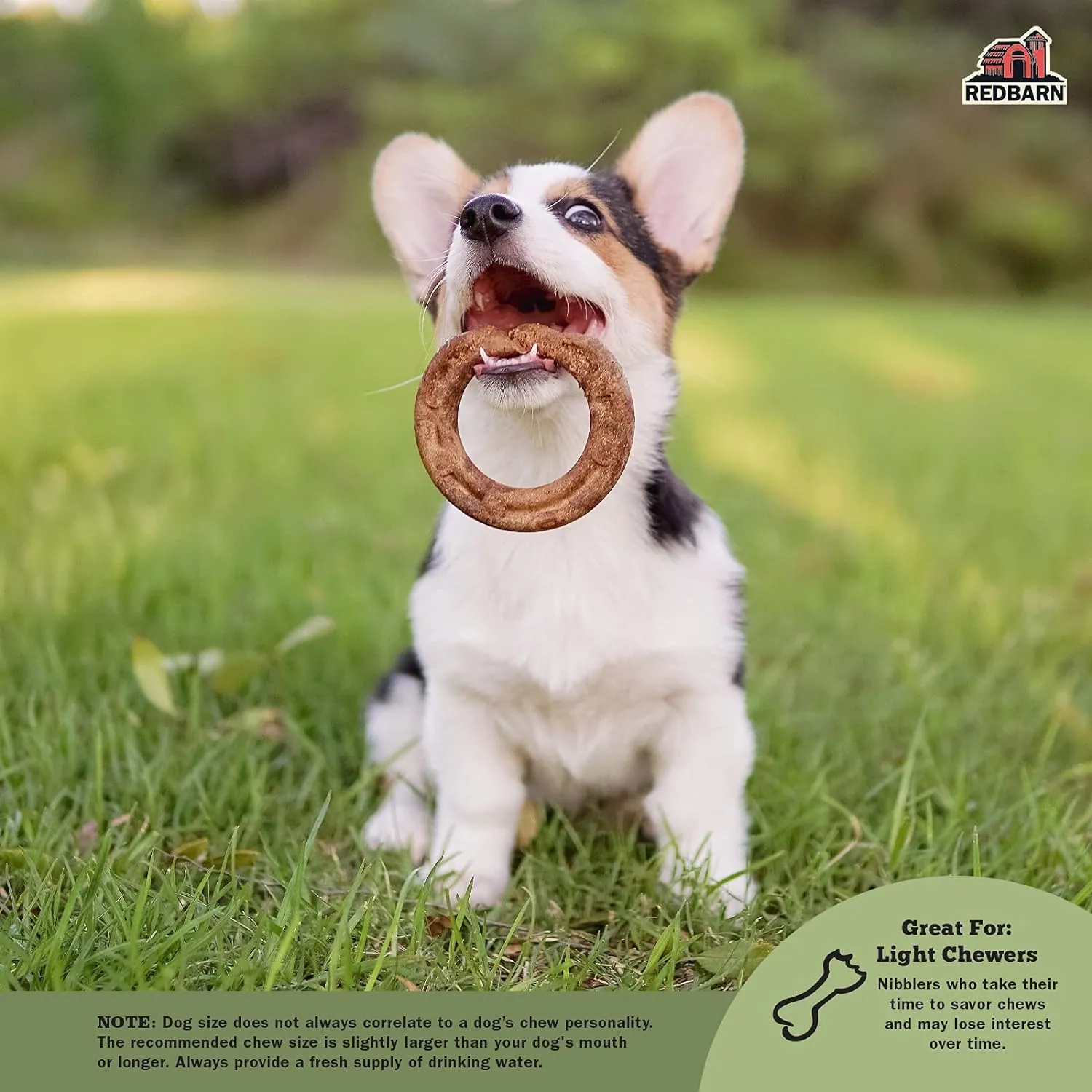 Red Barn Chew A Bulls Dental Ring Dog Treat