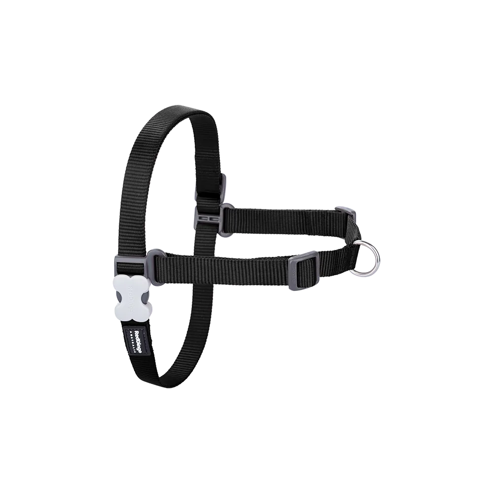 Red Dingo Dog No-Pull Harness - Black M/L