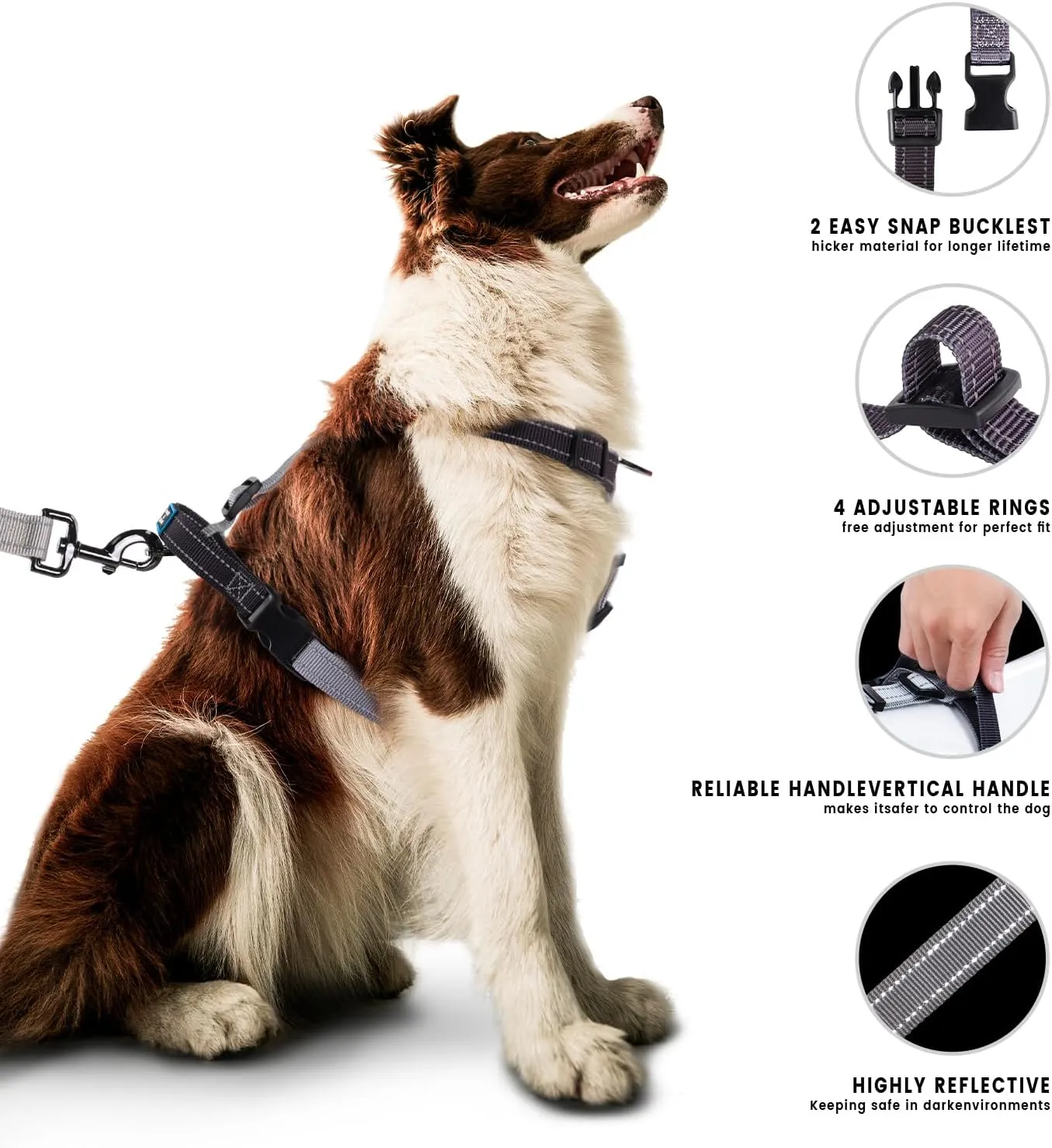 Roses&Poetry Dog Harness for Large Dogs, No-Pull Dog Harness and Leash Set Adjustable Reflective, Dog Vest Harnesses Comfort Padded Handle, Pet Harness for Training Outdoor WalkingBlackGray-L