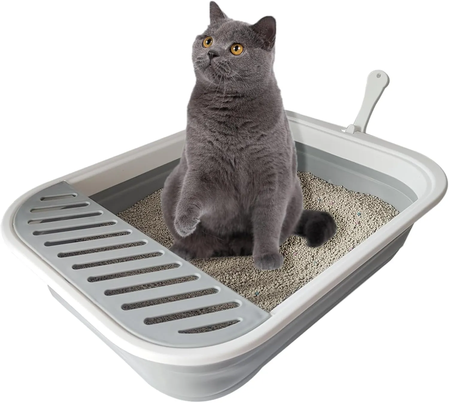 Senior Collapsible Cat Litter Pan - Low Entry, Foldable Pet Toilet for Elderly Cats, Grey, 20.9x15.7x5.7 inch