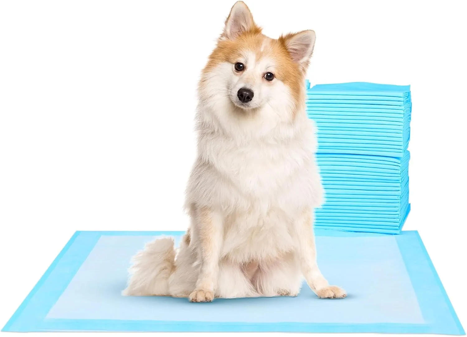 Super-Absorbent Waterproof Dog and Puppy Pet Training Pad, Housebreaking Pet Pad,Blue (28"X44"(100PCS))