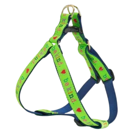 Teacup Harness | Be Kind