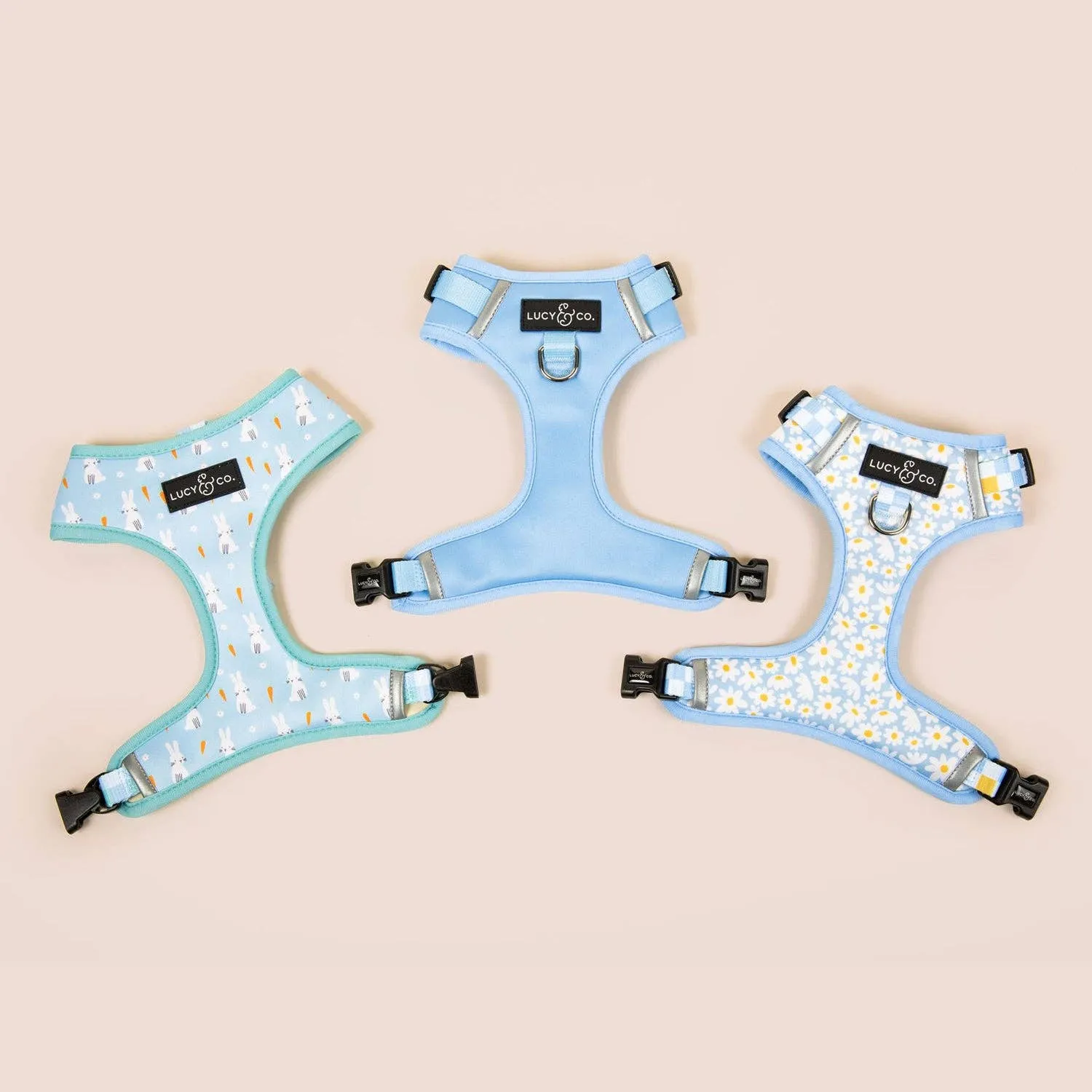 The Denim Blue No-Pull Harness