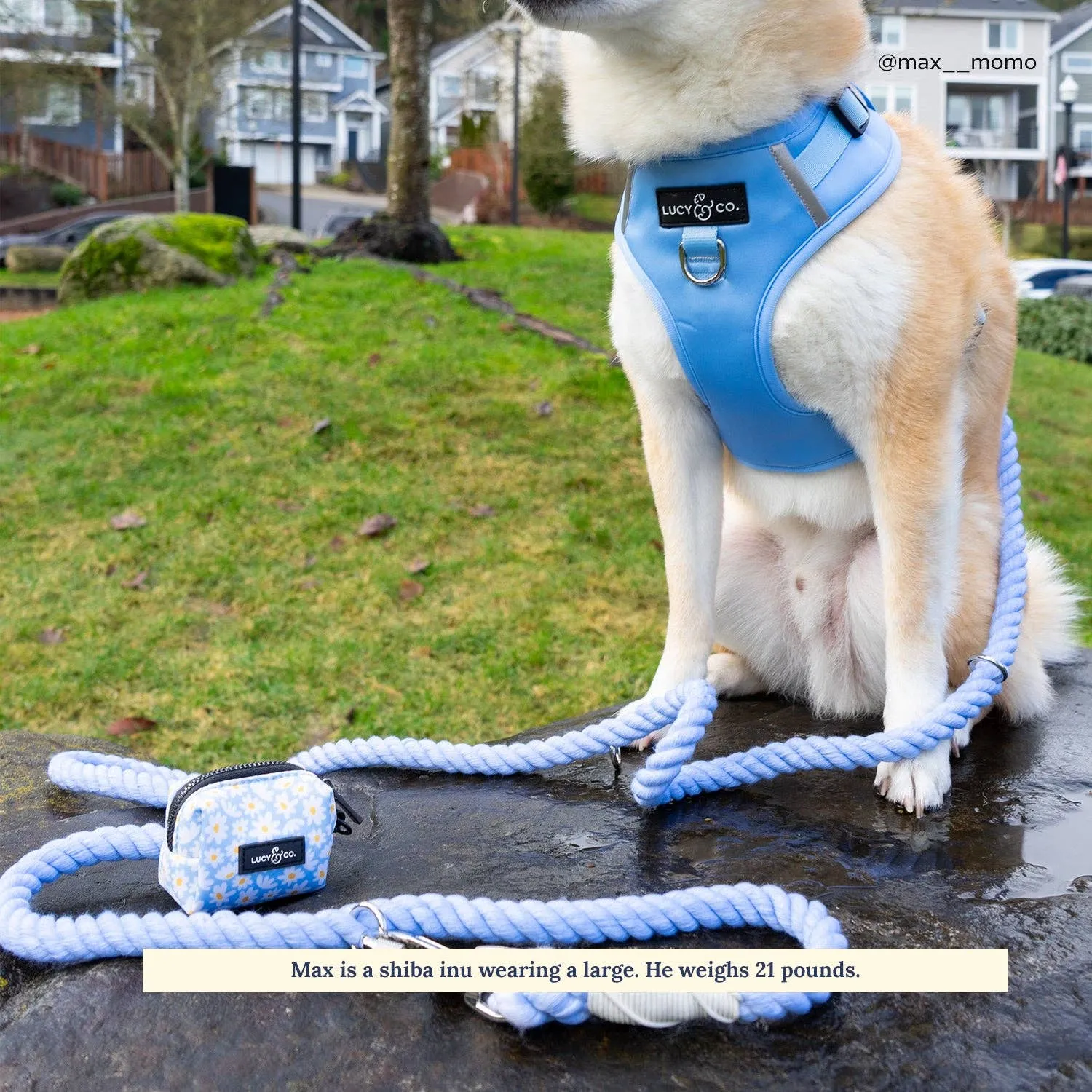 The Denim Blue No-Pull Harness