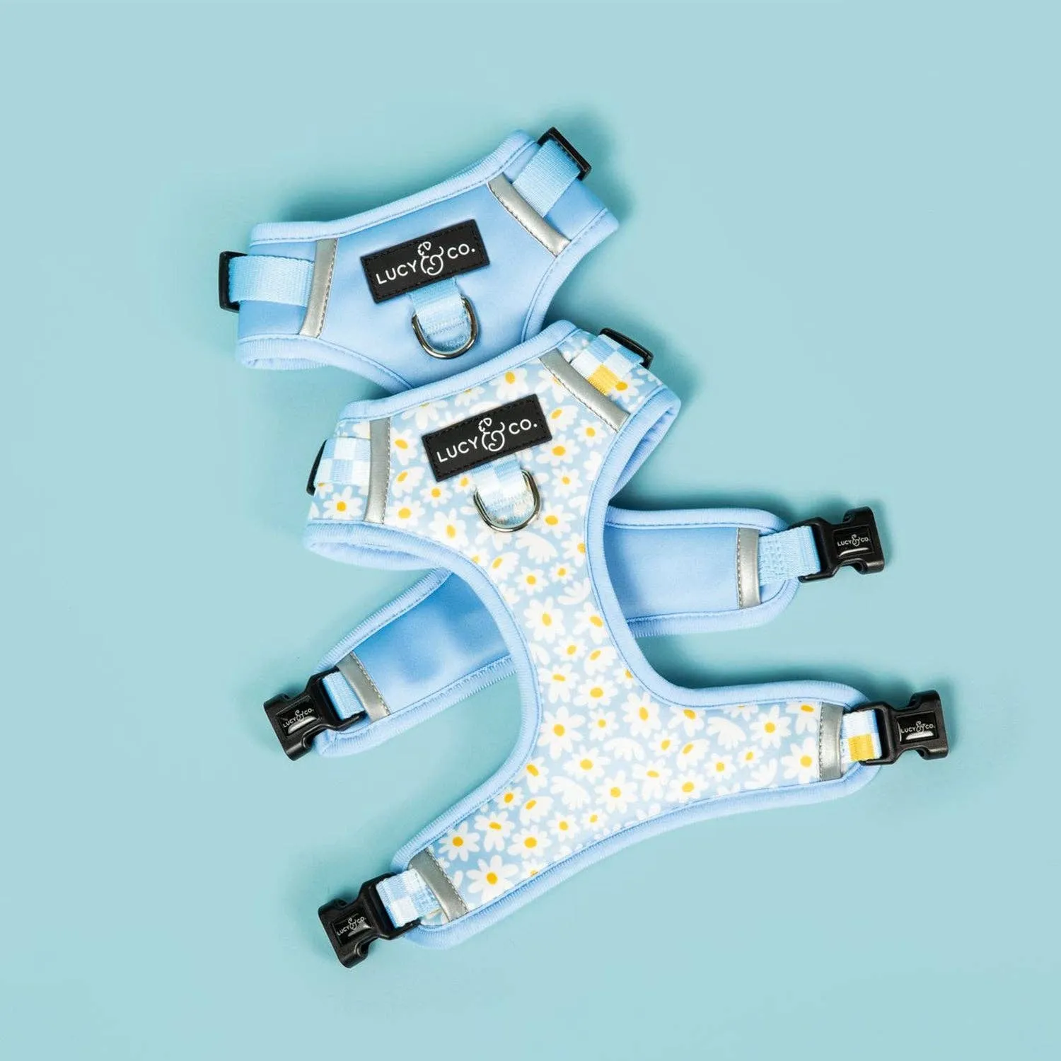 The Denim Blue No-Pull Harness