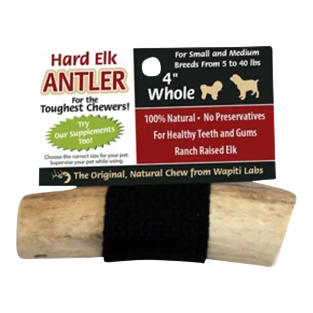 Wapiti Labs Elk Antler Dog Chews, 4", Whole