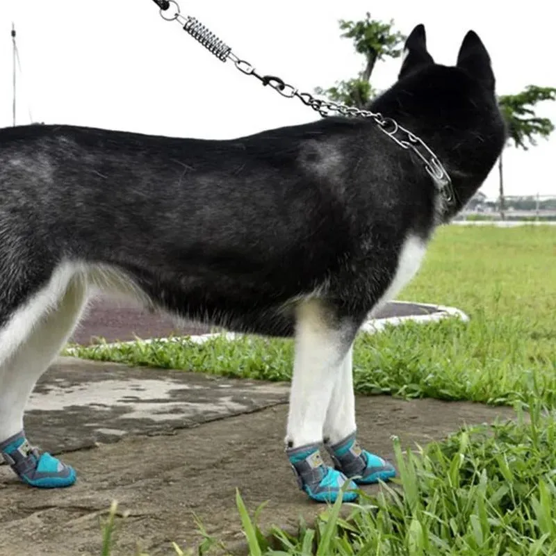 Waterproof Dog Shoes - The Ultimate Paw Protectors