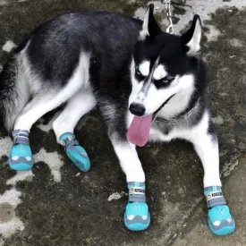 Waterproof Dog Shoes - The Ultimate Paw Protectors