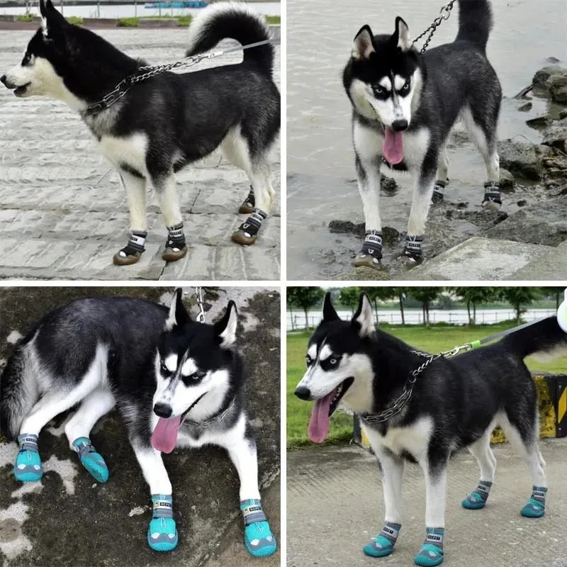Waterproof Dog Shoes - The Ultimate Paw Protectors
