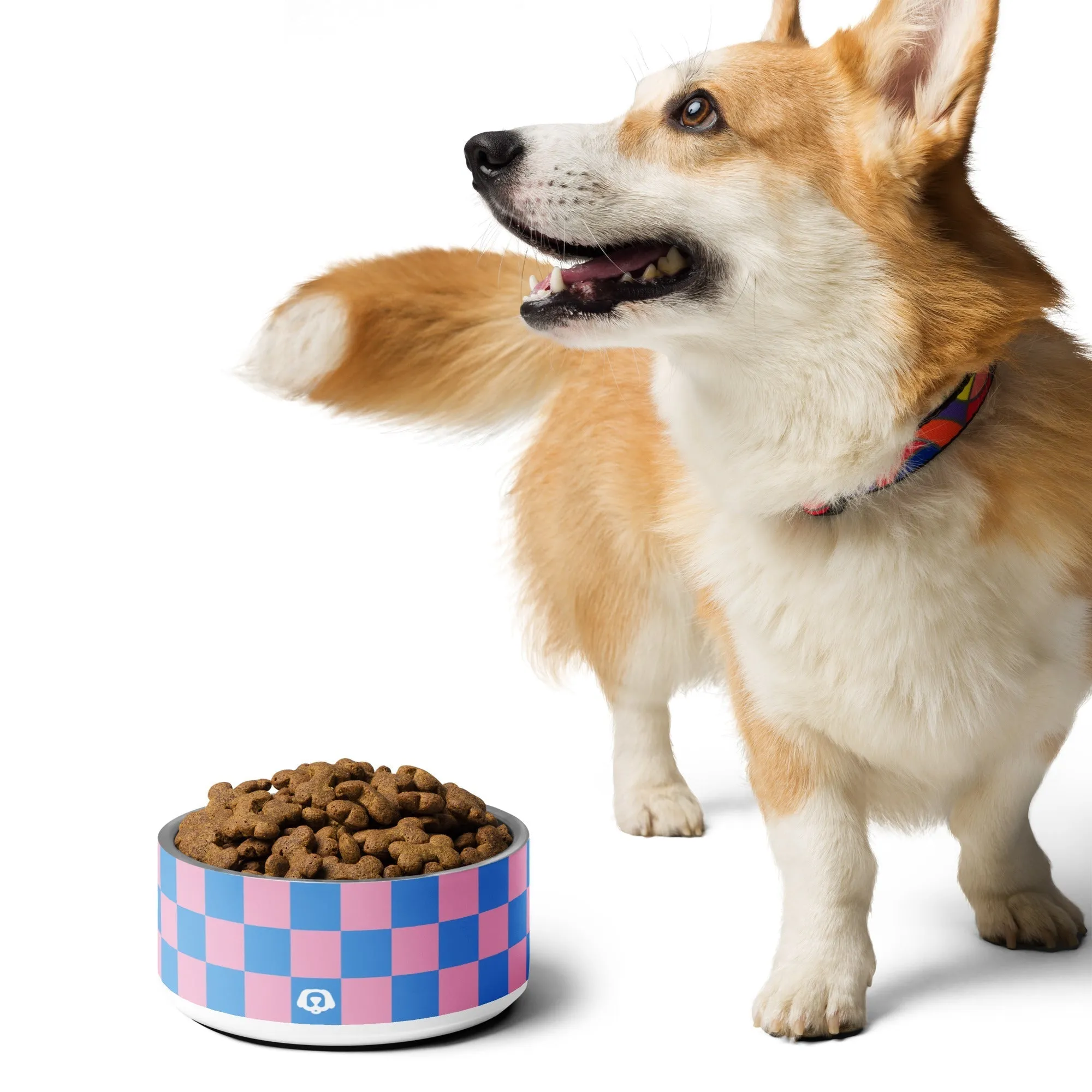 WUFORIA Checker Retro Shade 32oz Dog Bowl