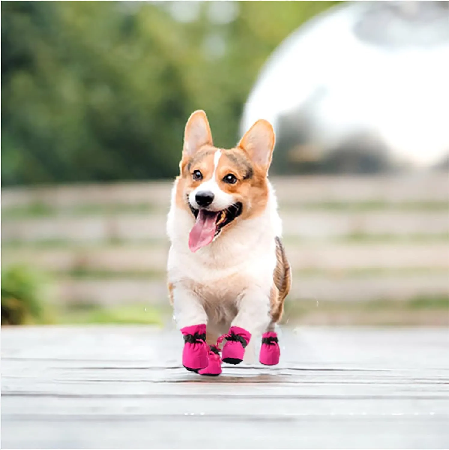 YAODHAOD Dog Shoes for Hot Pavement, Anti-Slip Sole Dog Boots & Paw Protector for Summer, Reflective Straps Dog Booties for Small Medium Dogs, Indoor Use 4PCS (Pink, Size: 7)