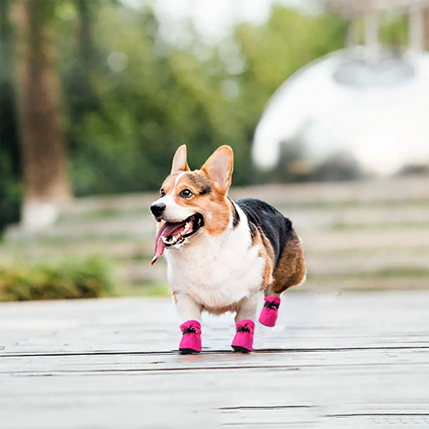 YAODHAOD Dog Shoes for Hot Pavement, Anti-Slip Sole Dog Boots & Paw Protector for Summer, Reflective Straps Dog Booties for Small Medium Dogs, Indoor Use 4PCS (Pink, Size: 7)